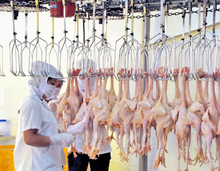 越南首批家禽产品将于今年底出口日本