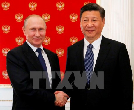 普京在克里姆林宫会见中国国家主席习近平