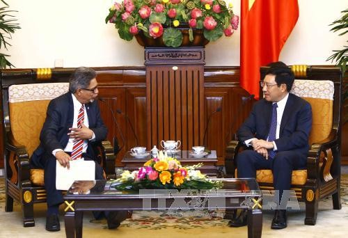 越南政府副总理兼外交部长范平明会见萨尔瓦多副外长卡洛斯·卡斯塔尼达