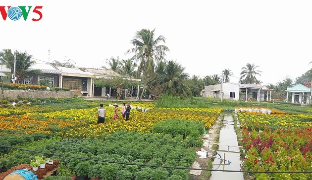 槟椥省实施新农村建设计划过程中的变化