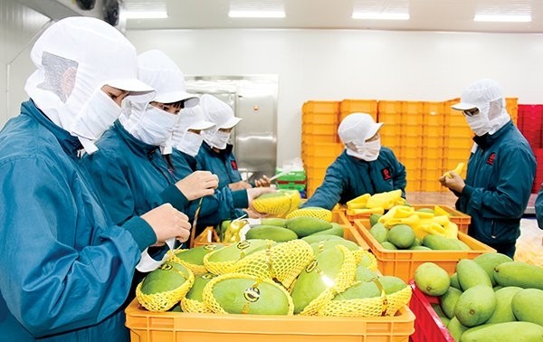 2020年4月越南农林水产品出口下降近17%