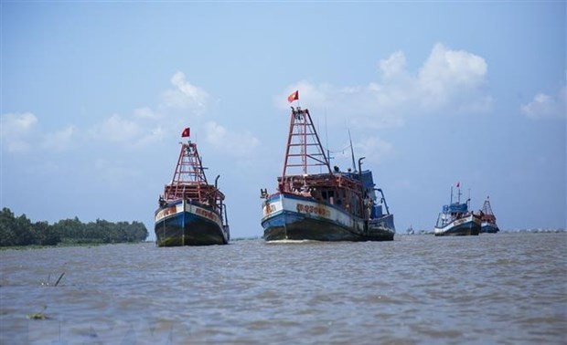 越南渔业协会反对中国在东海实施禁渔令