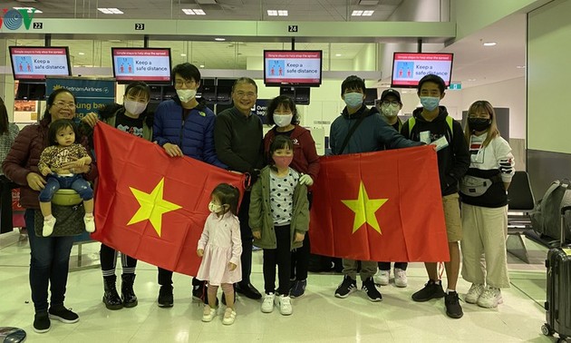  越南将344名在澳大利亚和新西兰的越南公民接回国