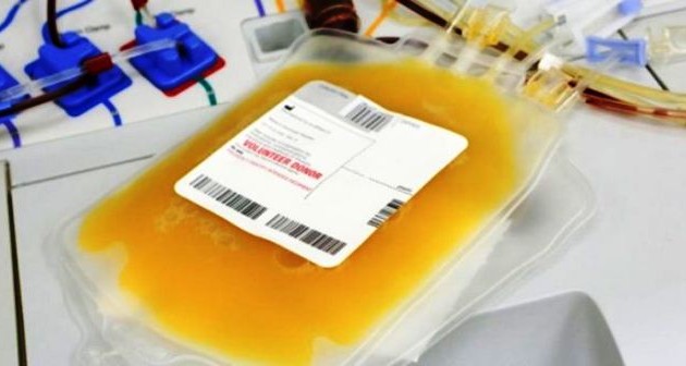 捐献血浆救治新冠肺炎患者：崇高的义举
