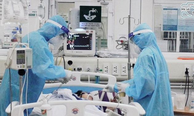 越南累计新冠肺炎死亡病例30例
