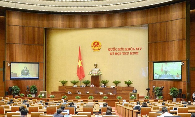 越南国会代表对关于胡志明市城市政府组织的决议草案表示赞同