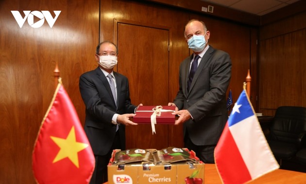 越南和智利加强农业领域合作