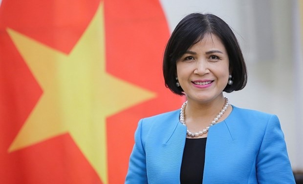 越南与日内瓦国际人道主义排雷中心促进合作