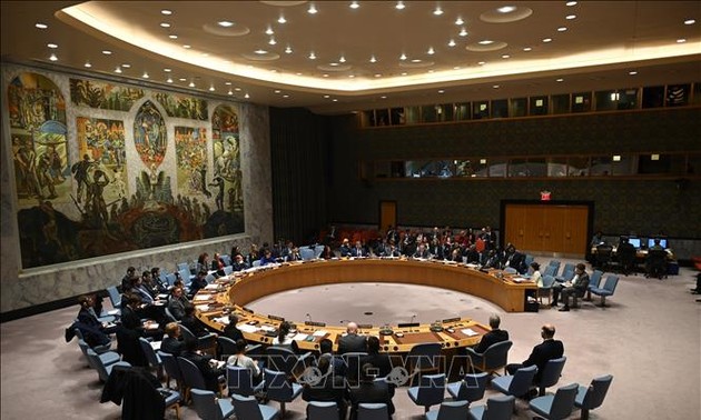 联合国对中非动荡局势表示担忧