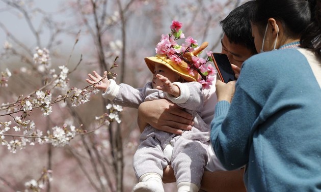中国允许一对夫妻生育三个子女