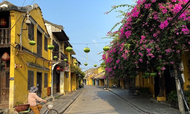 越南最“上镜”目的地——会安和沙巴的美景