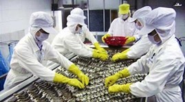 Vietnamese, American enterprises oppose anti-subsidy duties on Vietnamese frozen shrimp