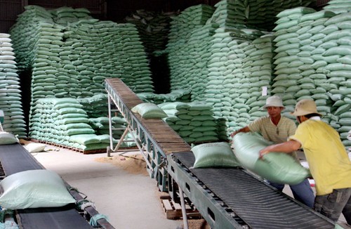 Vietnam contributes 14,000 tons of rice to ASEAN+3 rice reserve annually