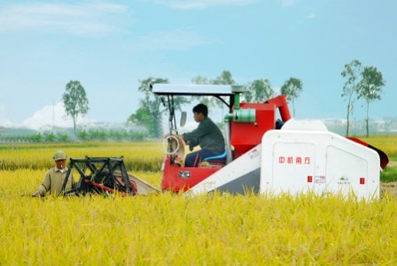 New rural economic models to be built in Thuy Ninh