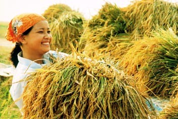 Vietnam's agriculture needs restructuring to assure food security 