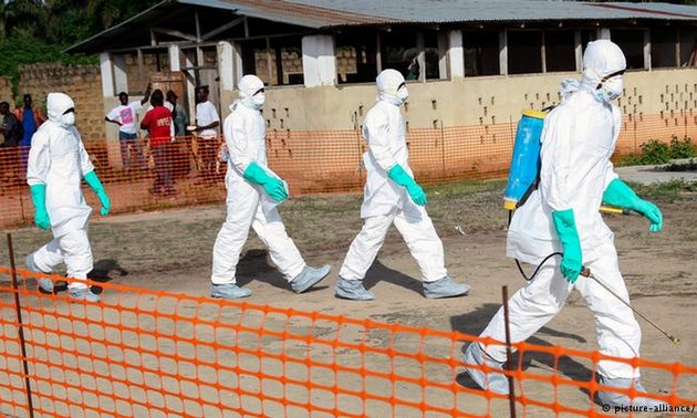 WHO warns Ebola deaths rise