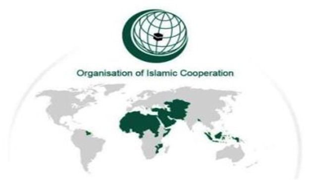 OIC information ministers discuss threats posed by IS