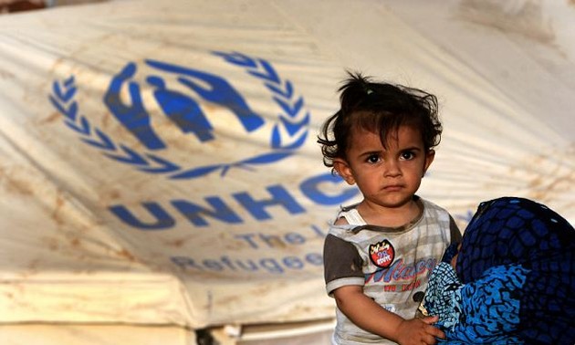 Donors to give 500 million USD for UNHCR activities