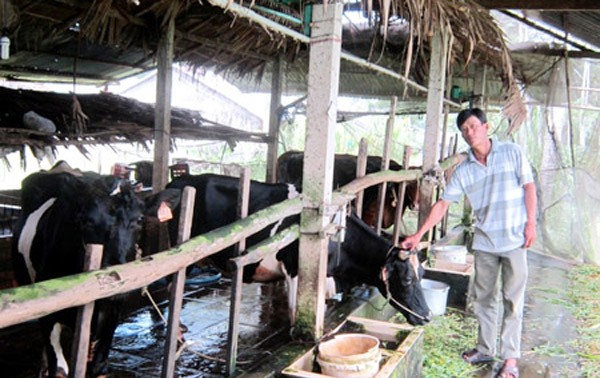Poverty reduction in Khmer commune of Long Hiep