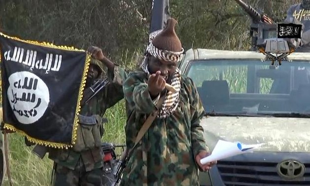 Boko Haram frees 192 people held in Nigeria