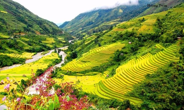 Muong Hoa- a romantic valley in Sapa