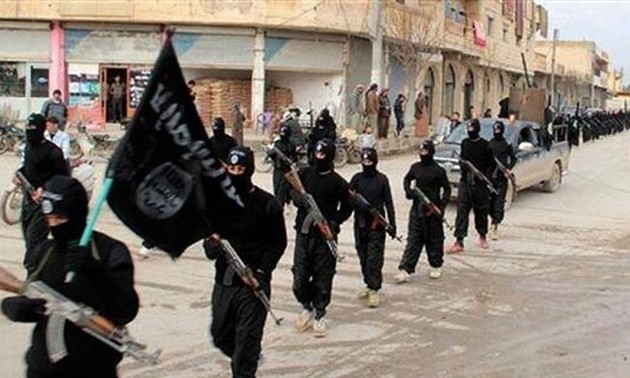 IS executes more than 40 people in Iraq