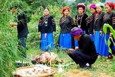 Pu Peo worship of the Forest Genie and forest protection