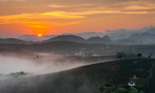 Magnificent beauty of Moc Chau in the dawn mist 