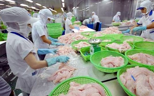 Vietnam strives to ensure smooth export of tra, basa fish