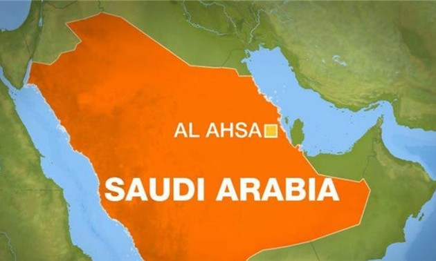Saudi Arabia: attacks targeting Shiite mosque 