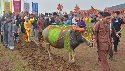 Vice President attends Tich Dien Ploughing Festival 