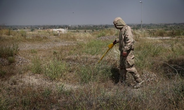Tests confirm IS use of chemical weapons in Iraq