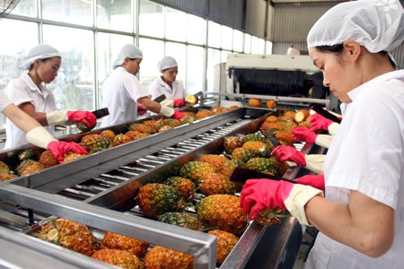 Vietnam’s export of agricultural products in the integration context 