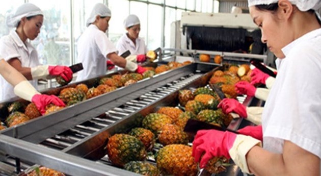 Fruit exports likely to reach over 2 billion USD
