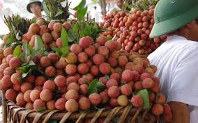 Workshop boosts fresh lychee exports