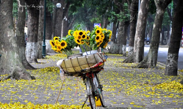 A Love Poem At Autumn's End - Tan Nhan