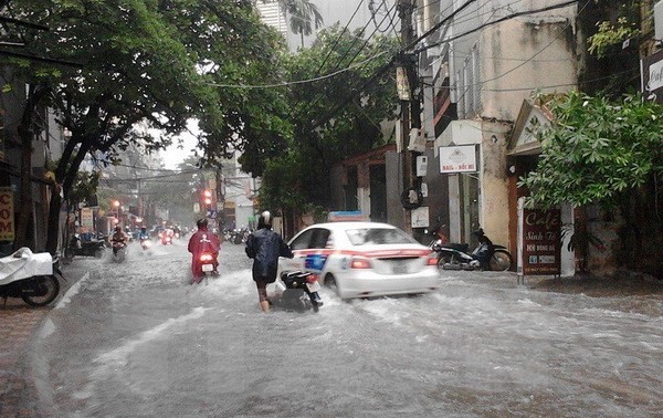 Vietnam recovers damage from Dianmu storm