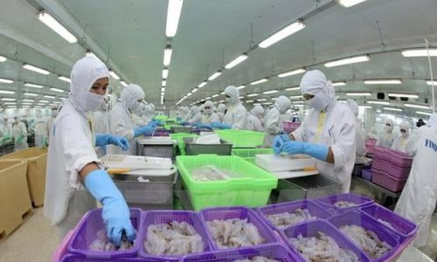 Seafood exports benefit from Vietnam-EAEU FTA