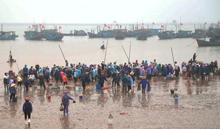 Giao Hai fish market, another attraction of Nam Dinh province