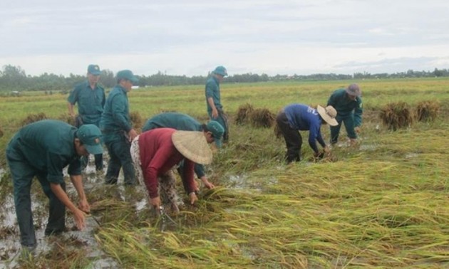 Seeds given to provinces hard hit by natural disasters
