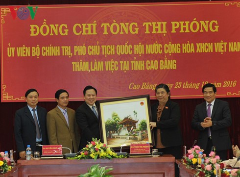 NA Vice Chairwoman Tong Thi Phong pays working visit to Cao Bang