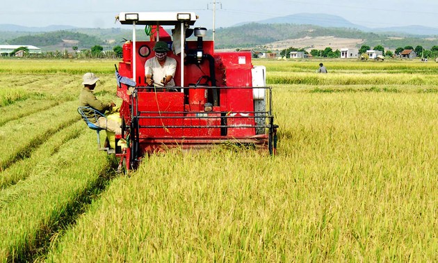 Agricultural sector moves from negative to positive growth  