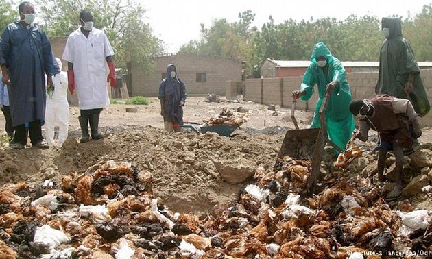 Countries to fight avian influenza