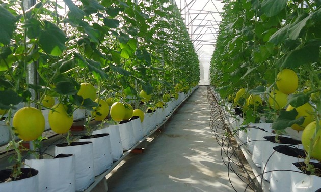 Capital for high-tech agriculture