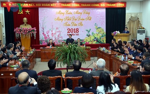 Overseas Vietnamese treated to Homeland Spring program