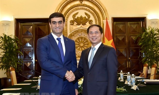 Vietnamese, Turkmen foreign ministries hold political consultation