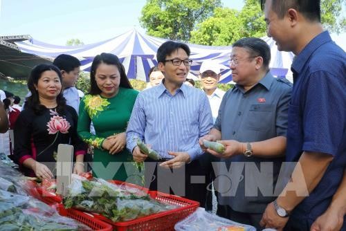 Deputy Prime Minister Vu Duc Dam joins launching ceremony of clean food business movement