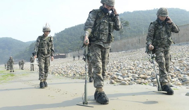 Two Koreas begin to remove landmines in demilitarized zone