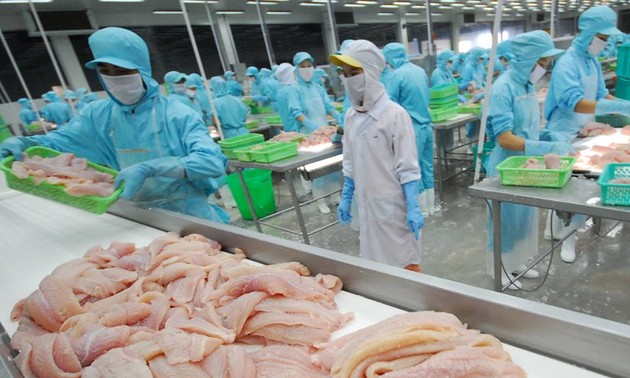 Vietnam builds sustainable fisheries industry 