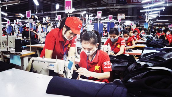 Private businesses in HCMC develop steadily 